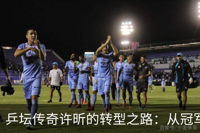 乒坛传奇许昕的转型之路：从冠军到家庭与事业的掌舵人